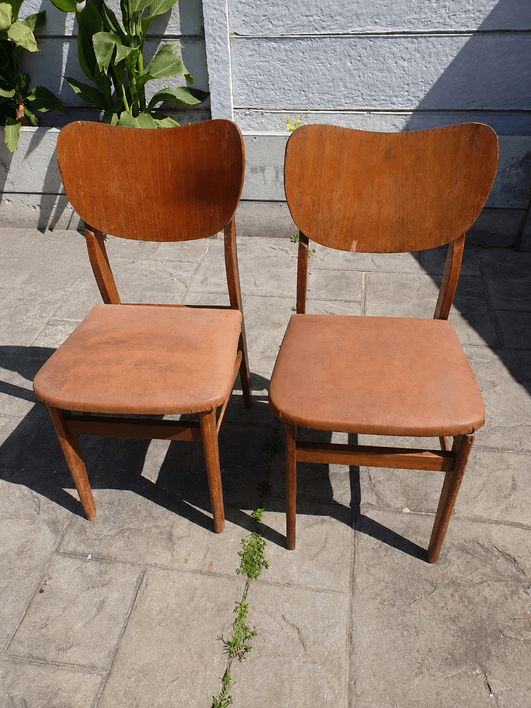 Refined Oak Dining Chairs (Pair) before restoration